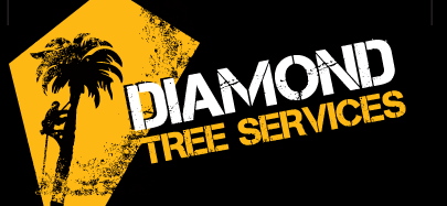 Noosa Tree Services